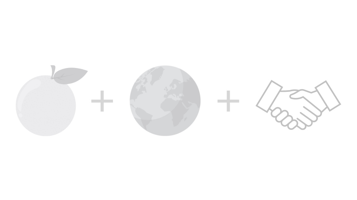 branding design freelance